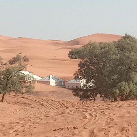 Bivouac Camel Trips Hotell Merzouga Exteriör bild