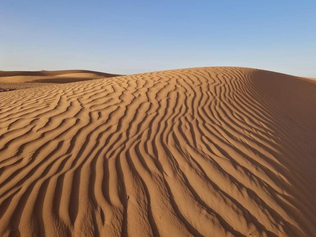 Bivouac Camel Trips Hotell Merzouga Exteriör bild
