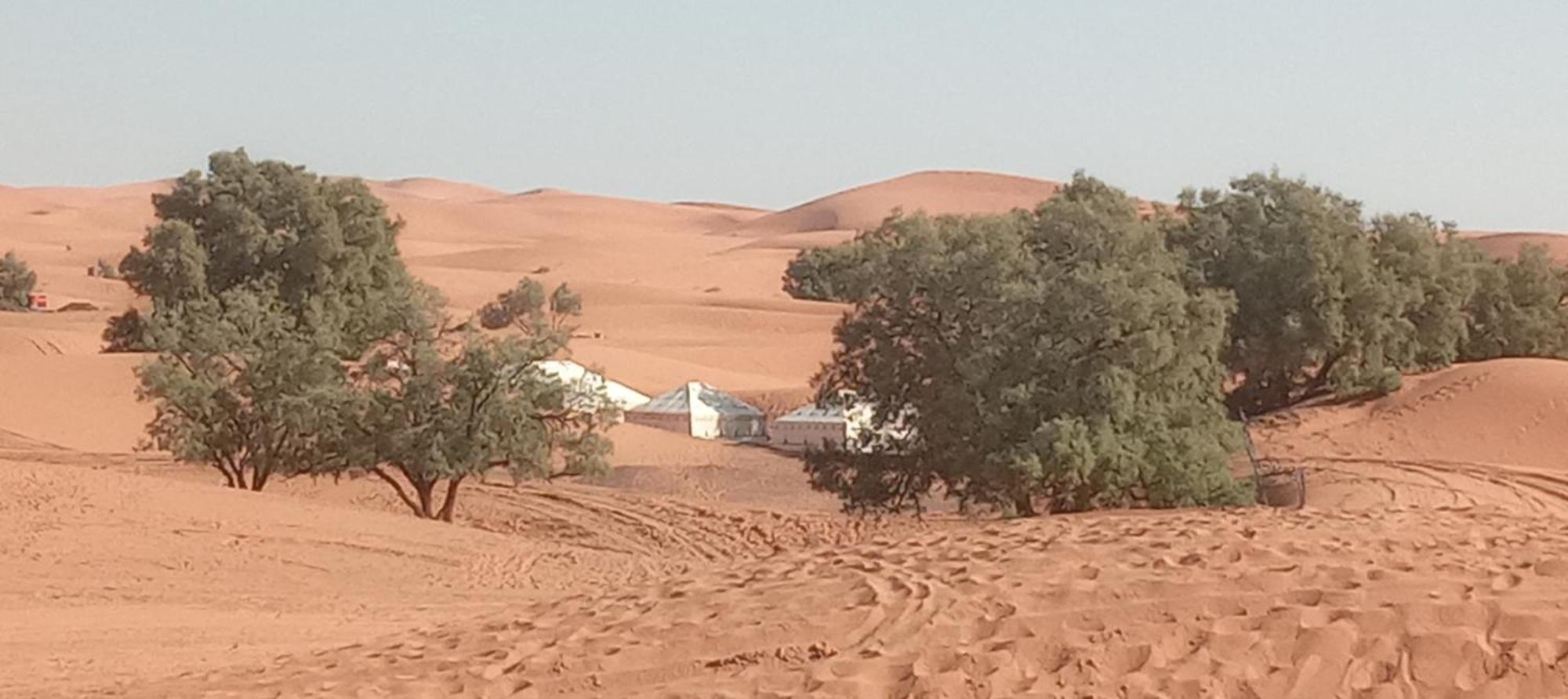 Bivouac Camel Trips Hotell Merzouga Exteriör bild
