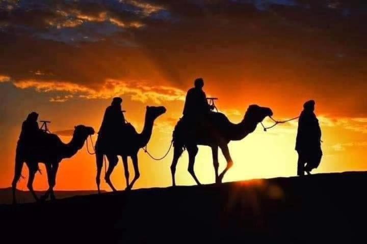 Bivouac Camel Trips Hotell Merzouga Exteriör bild