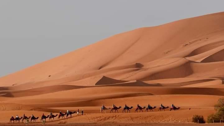 Bivouac Camel Trips Hotell Merzouga Exteriör bild