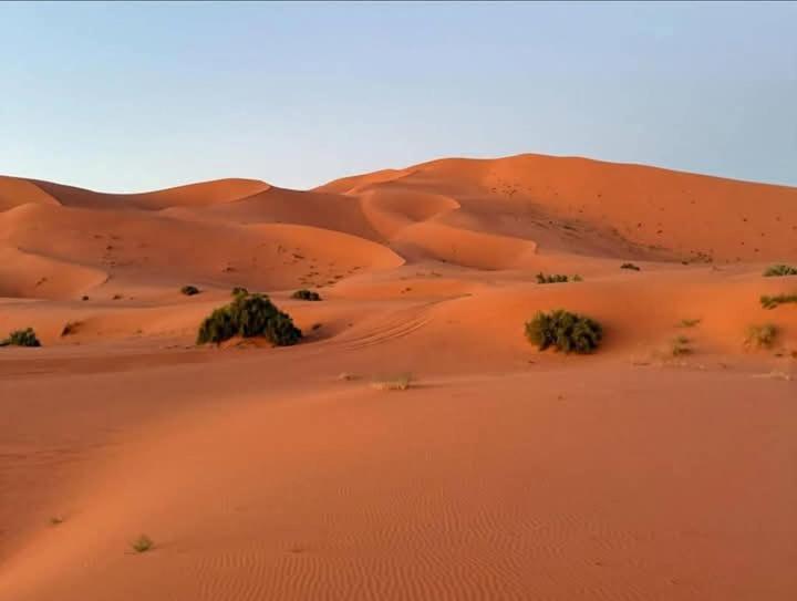 Bivouac Camel Trips Hotell Merzouga Exteriör bild