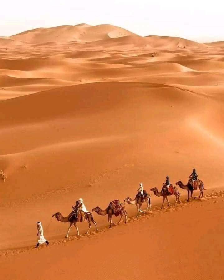 Bivouac Camel Trips Hotell Merzouga Exteriör bild