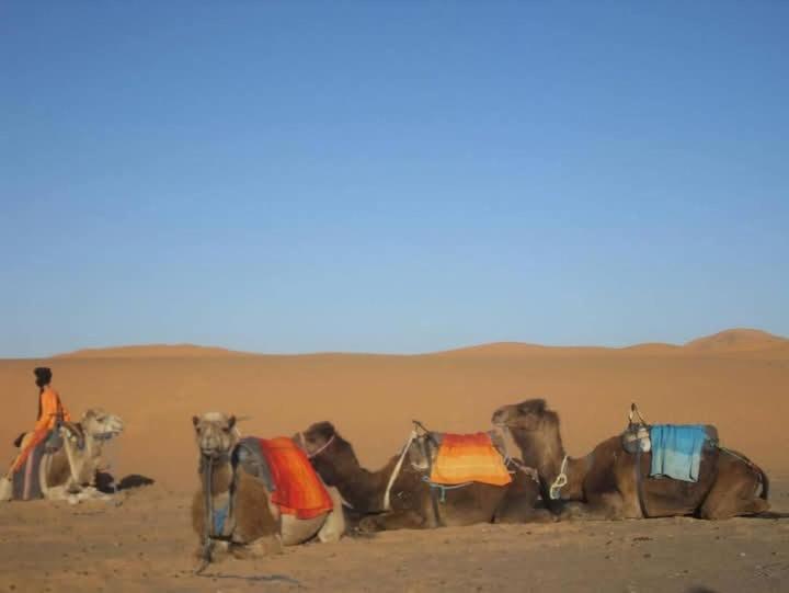 Bivouac Camel Trips Hotell Merzouga Exteriör bild