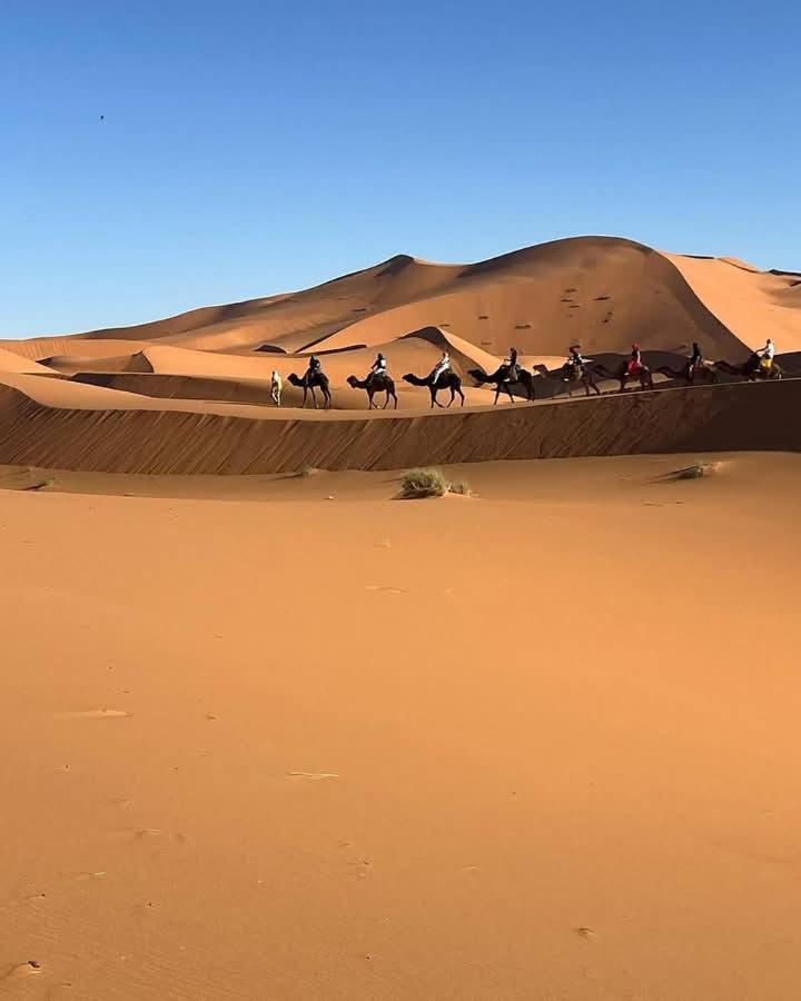 Bivouac Camel Trips Hotell Merzouga Exteriör bild